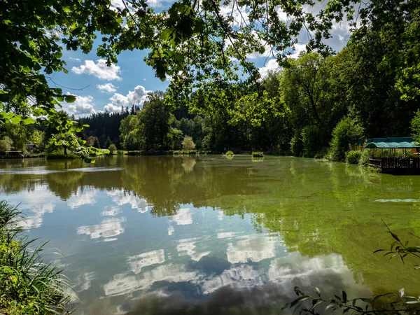 Idyllisch Landschapsmeer Vogtland Saksen — Stockfoto