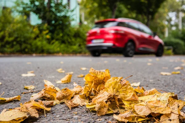 Danger Leaves Road Autumn — Stock Photo, Image