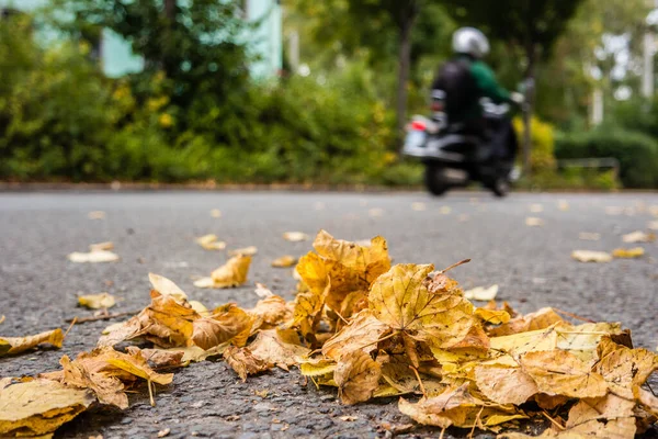 Κίνδυνος Φύλλα Στο Δρόμο Φθινόπωρο Μοτοσικλέτα — Φωτογραφία Αρχείου