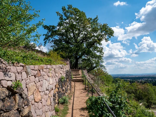 Turistika Vinicích Sasko Německo — Stock fotografie