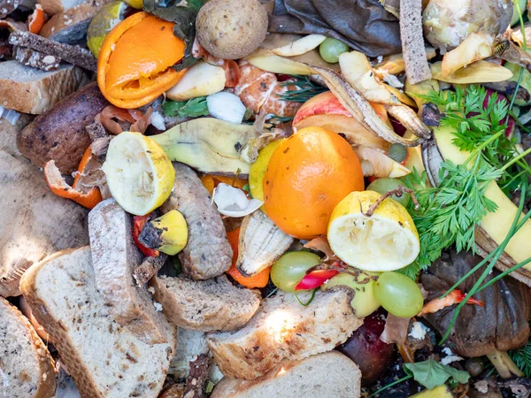 Sampah Organik Pada Kompos — Stok Foto