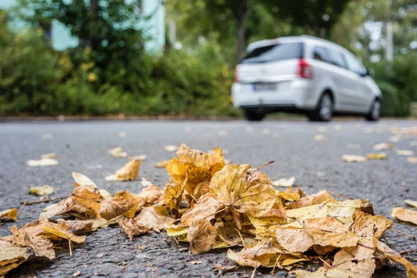 Gefahr Herbst Auf Der Straße — Stockfoto