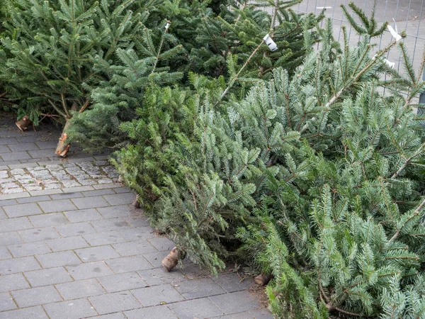 Sprzedaż Choinki Mieście — Zdjęcie stockowe