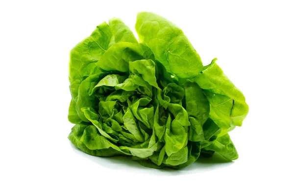 Green Lettuce Isolated White Background — Stock Photo, Image