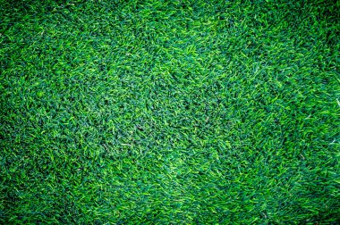 Suni Çim yeşil arka plan doku. Golf ya da futbol alanı.