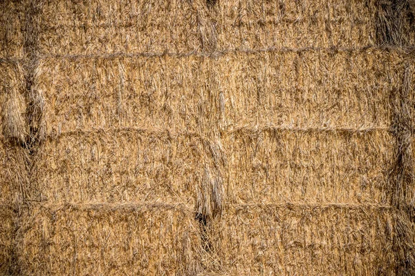 Bale Hay Straw Havest Background Closeup — Stock Photo, Image