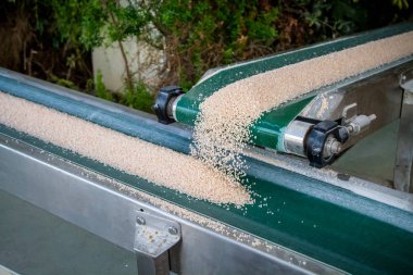 Deniz Tuz üretimi. Konveyör bant tuz ile. Dead sea, Israel.