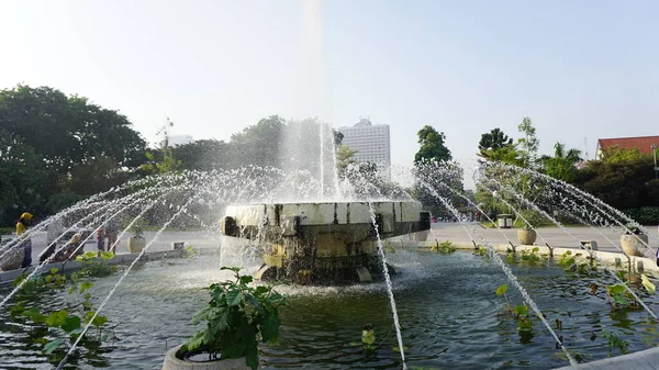 Flores Encontradas Parques Ciudad — Foto de Stock