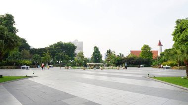 Şehir parklarında bulunan çiçekler.