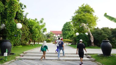 Şehir parklarında bulunan çiçekler.