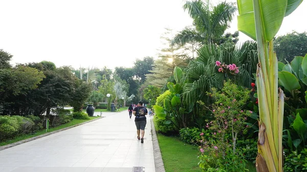 Flores Encontradas Parques Cidade — Fotografia de Stock