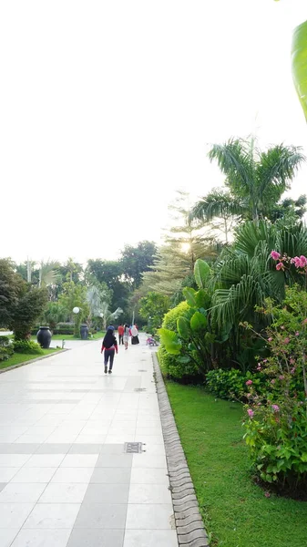 Flores Encontradas Parques Cidade — Fotografia de Stock