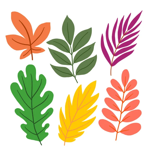 Set of colorful leaves on a white background in vector graphics. For the design of postcards, botanical illustrations, prints on covers, textiles, t-shirts, dishes — Stock Vector