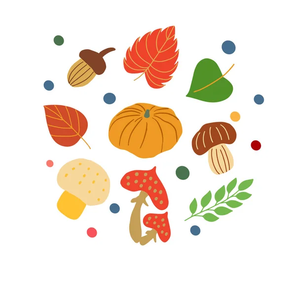 Set of autumn colorful leaves, mushrooms, acorns. Vector graphics on a white background for the design of cards, prints on pillows, packages, covers, wrapping paper — Stock Vector