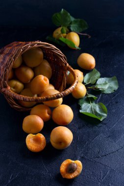 Siyah arka planda, sepetteki lezzetli olgun kayısı yakın çekim