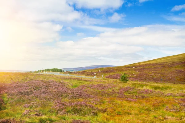 Güzel Dağ Manzarası Manzara Wicklow Dağları Milli Parkı County Wicklow — Stok fotoğraf