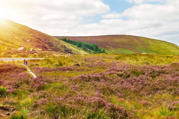 Güzel Dağ Manzarası Manzara Wicklow Dağları Milli Parkı County Wicklow — Stok fotoğraf