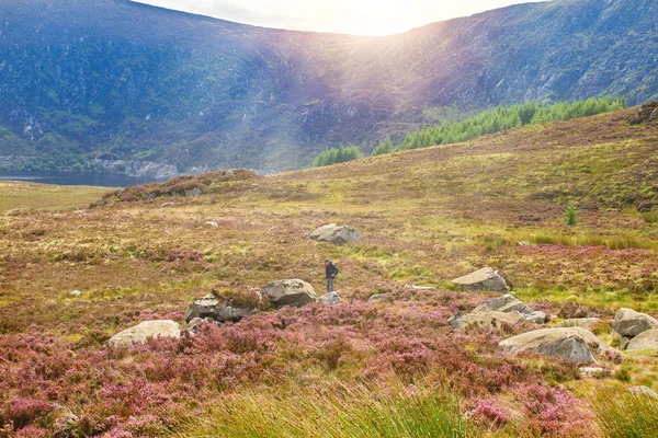 Güzel Dağ Manzarası Manzara Wicklow Dağları Milli Parkı County Wicklow — Stok fotoğraf