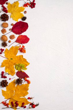 Sonbahar yaprakları, çilek ve beyaz arka plan kopya alanı ile fındık. Mockup mevsimlik tatil kartpostal için. Yukarıdan görüntülemek, top
