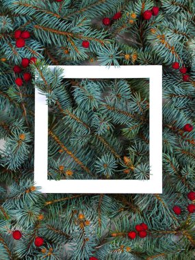 Düzen Noel ağaç dalları, kırmızı meyveler ve beyaz kağıt kartı Not çerçeve yapılmış. Mockup, düz yatıyordu. Yeni yıl kış sezon kavramı