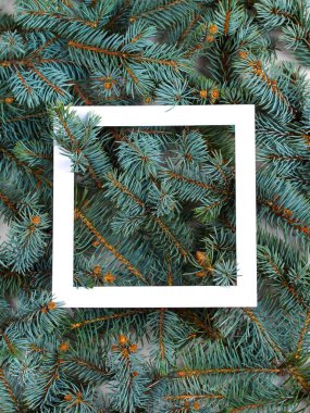 Düzen Noel ağaç dalları ve beyaz kağıt kartı Not çerçeve yaptı. Mockup, düz yatıyordu. Yeni yıl kış sezon kavramı