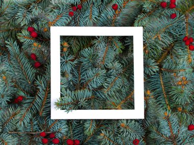 Düzen Noel ağaç dalları, kırmızı meyveler ve beyaz kağıt kartı Not çerçeve yapılmış. Mockup, düz yatıyordu. Yeni yıl kış sezon kavramı