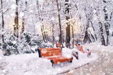 Kış city park peyzaj. Park ayaz ağaçlarda. Ağaçlar kar kaplı. Kar düşen arka plan