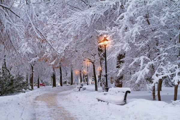Kış City Park Peyzaj Ayaz Ağaçlar Park Karla Kaplı Kar — Stok fotoğraf