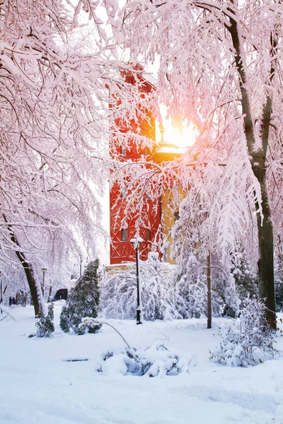 Kış City Park Peyzaj Ayaz Ağaçlar Park Güneş Kar Ile — Stok fotoğraf