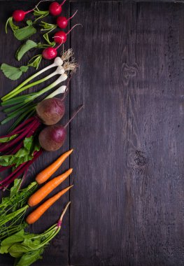 Havuç, pancar, turp, soğan, sarımsak, ıspanak - siyah ahşap arka plan üzerinde kök sebze. Yaz çiftliği sebzeleri. Gıda arka plan, düzen, metin için oda