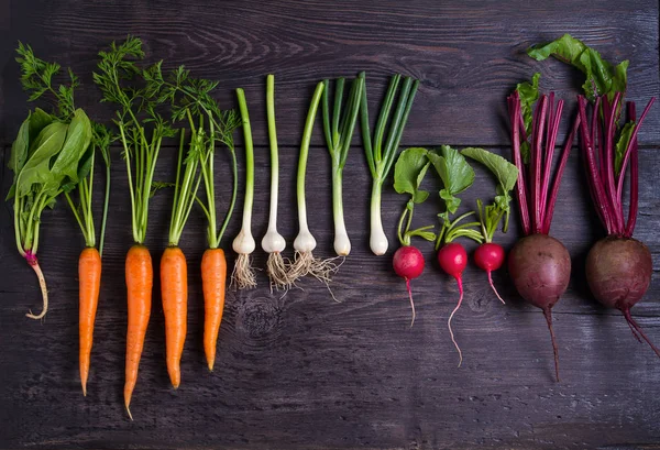胡萝卜 黑木背景的根菜 夏季农场蔬菜 食物背景 文本空间 — 图库照片