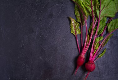 Pancar - siyah bir arka plan üzerinde kök sebzeler. Yaz çiftliği sebzeleri. Gıda arka plan, düzen, metin için oda