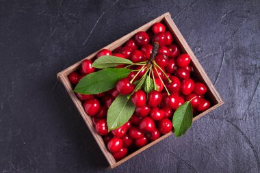 Siyah zeminde taze kiraz. Taze olgun tatlı kiraz