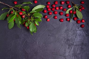 Siyah zeminde taze kiraz. Taze olgun tatlı kiraz