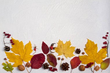 Sonbahar yaprakları, çilek ve kopya alanı ile beyaz arka plan üzerinde fındık. Düz döşeme, düzen, metin için oda