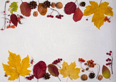 Sonbahar yaprakları, çilek ve kopya alanı ile beyaz arka plan üzerinde fındık. Düz döşeme, düzen, metin için oda