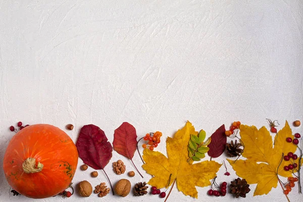Herbstblätter Kürbis Beeren Und Nüsse Auf Weißem Hintergrund Mit Kopierraum — Stockfoto