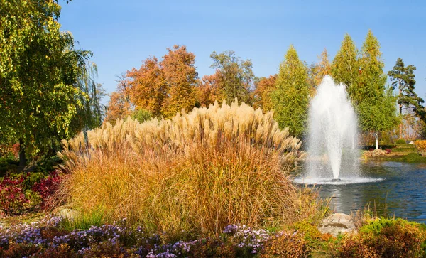 Красивый Осенний Парк Красочными Деревьями Озером Фонтаном Осень Парке Панорама — стоковое фото