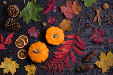 Sonbahar yaprakları, balkabağı, kozalak ve siyah arka planda fotokopi alanı olan fındıklar. Şükran Günü konsepti Düz yatış, düzen, metin için yer