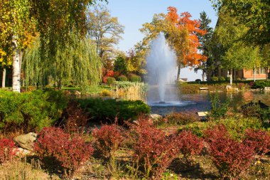 Renkli ağaçları, gölü ve çeşmesi olan güzel bir sonbahar parkı. Parkta sonbahar, panorama