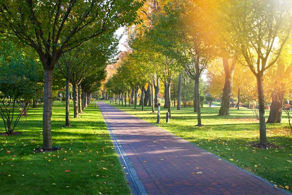 Journée Ensoleillée Parc Automne Avec Des Arbres Colorés Automne Dans — Photo