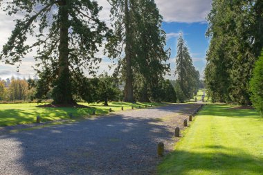 Emo Court 'un evi ve bahçeleri, İrlanda' nın Laois ilçesinin Emo köyü yakınlarında. Emo Parkı