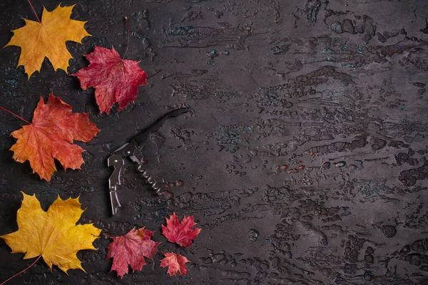 Weinkorkenzieher Auf Schwarzem Hintergrund Mit Herbstblättern Kopierraum Blick Von Oben — Stockfoto