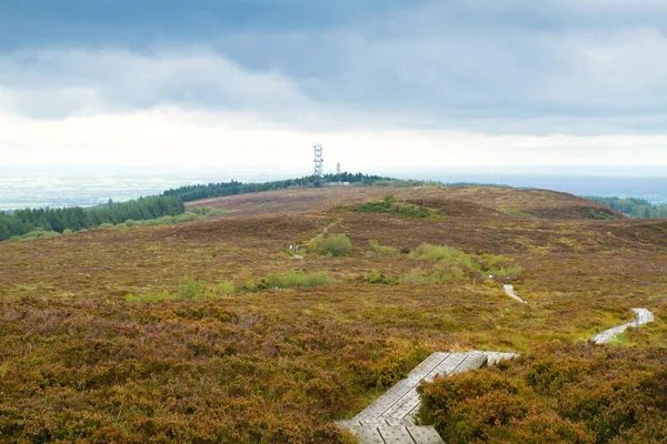 İrlanda 'nın Laois ilçesindeki Slieve Bloom Dağları