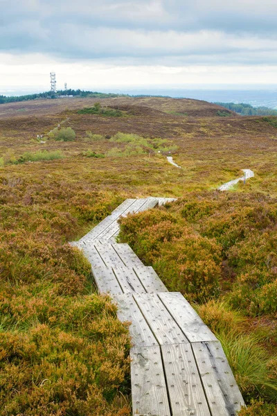 İrlanda 'nın Laois ilçesindeki Slieve Bloom Dağları