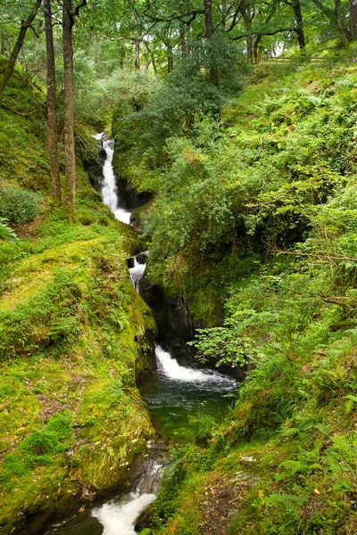 Wodospad Dolinie Glendalough Położony Parku Narodowym Gór Wicklow — Zdjęcie stockowe