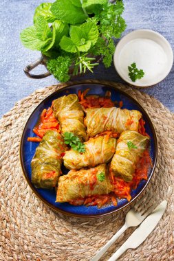 Lahana dolması. Lahana ambalajı. Chou farci, dolma, sarma, golubtsy veya golabki. Yukarıdan bak, en iyi stüdyo çekimi.