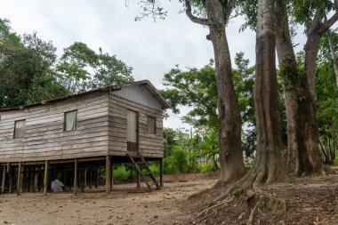 Brezilya amazonundaki nehir kenarındaki evlerde.