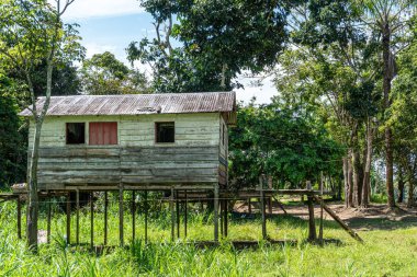 Brezilya amazonundaki nehir kenarındaki evlerde.