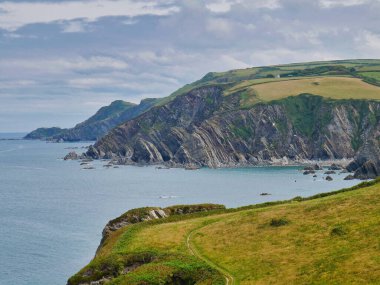 Lee Körfezi 'nin kuzey Devon kıyısı, Devonian Dönemi' nde oluşan Morte Slates oluşumunun dik eğimli kayalık tabakasını gösteriyor. Güney batı yakası patikasından alındı..